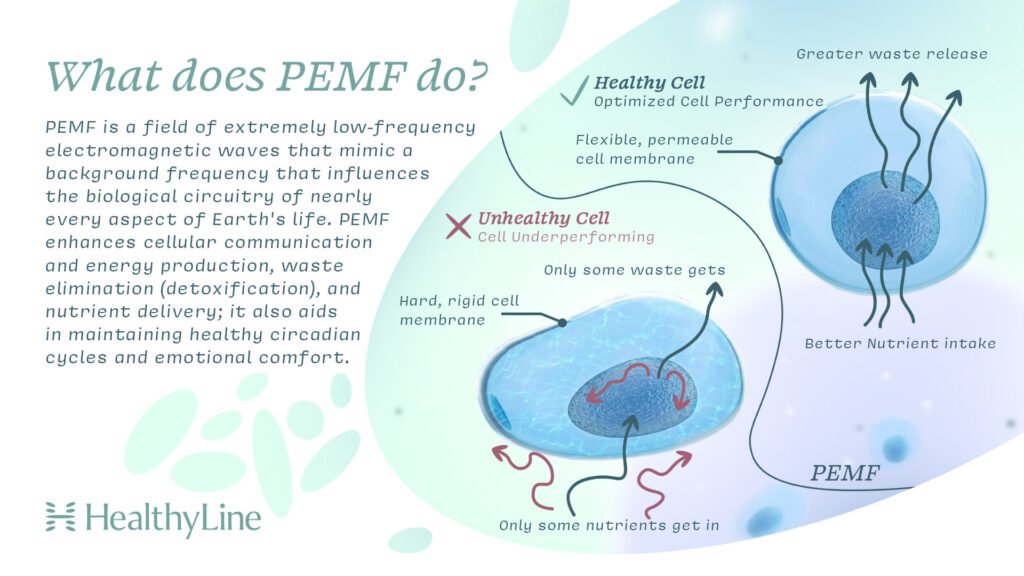 pemf workds on cells